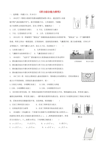 中考物理专题复习(浮力综合能力探究)训练试卷