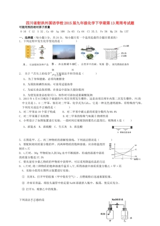 九年级化学下学期第13周周考试卷 新人教版试卷