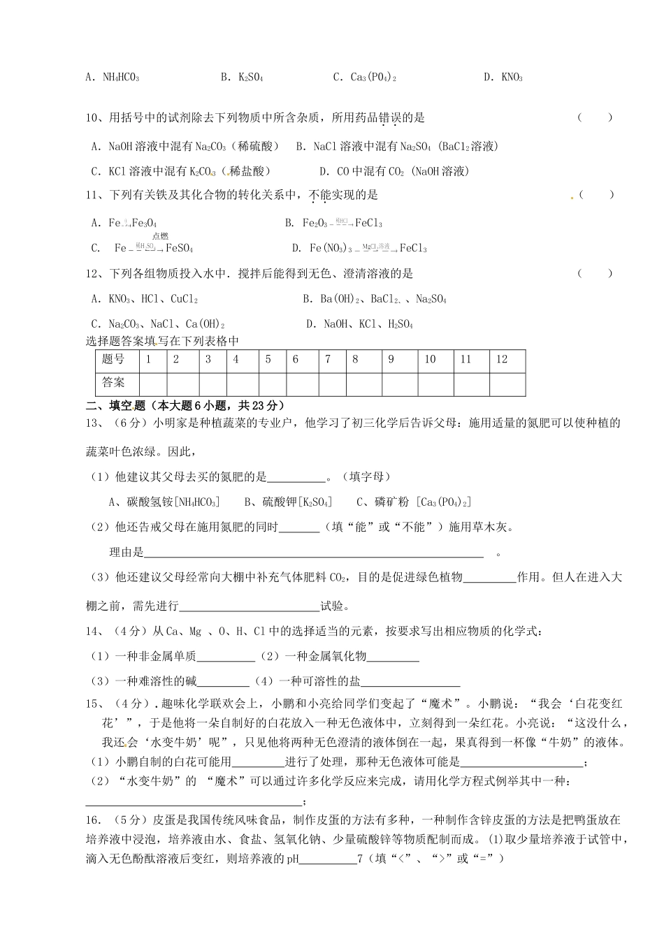 九年级化学 第十一章检测试卷试卷_第2页
