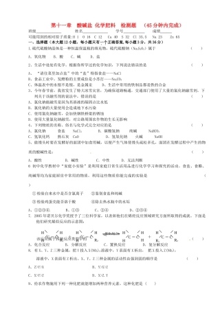 九年级化学 第十一章检测试卷试卷