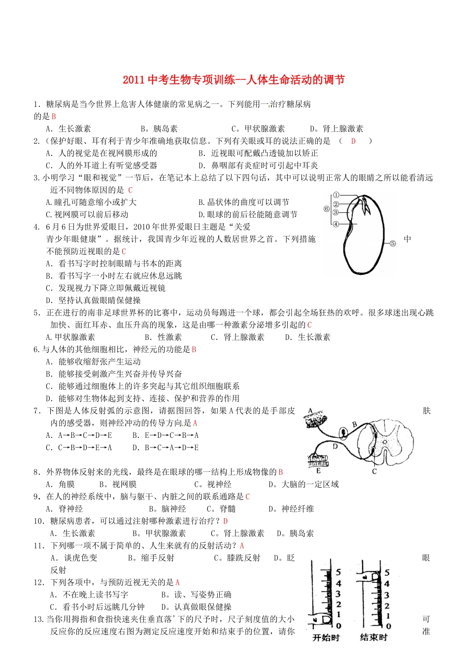 中考生物专项训练-人体生命活动的调节试卷_第1页