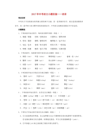 中考语文小题狂做 语音试卷