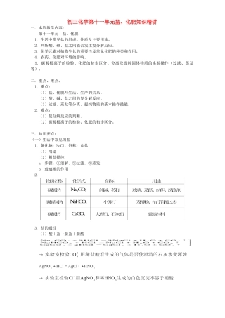 初三化学第十一单元盐、化肥知识精讲 人教实验版 试题