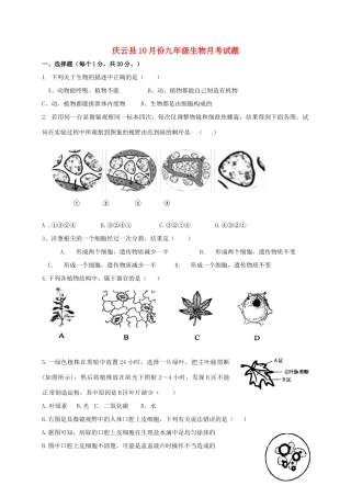 山东省庆云县九年级生物上学期第一次月考试卷试卷