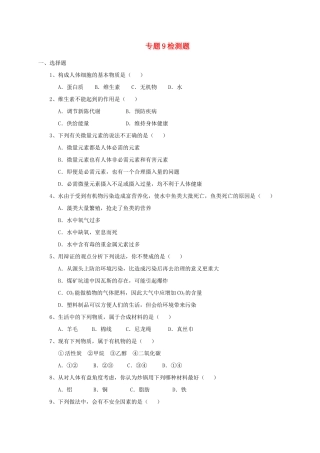 九年级化学 第九单元检测题 湘教版试卷