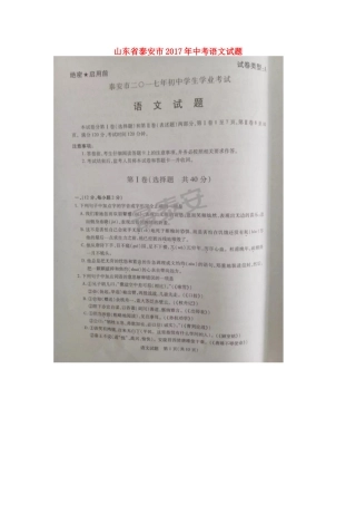 山东省泰安市中考语文试卷试卷