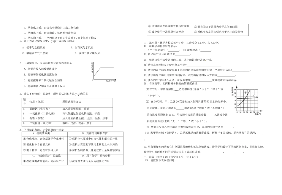 九年级化学下学期三月月考试卷 新人教版试卷_第2页