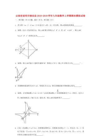 九年级数学上学期期末模拟试卷试卷