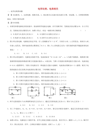 中考物理专题复习8 电学比例、电表相关试卷