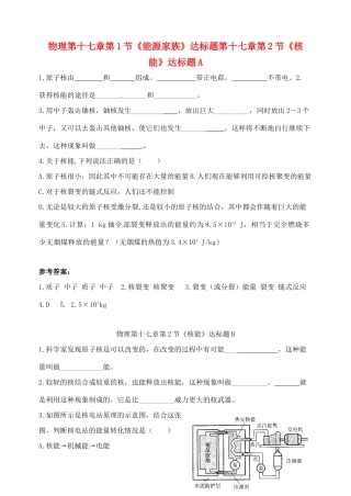 九年级物理上册 第十七章第2节(核能)达标题 人教新课标版试卷