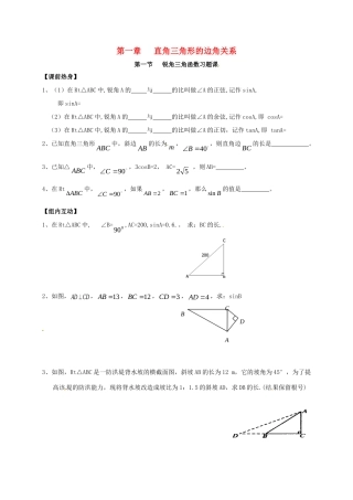 九年级数学下册 11 锐角三角函数测试卷(新版)北师大版试卷