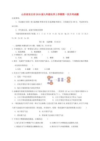 九年级化学上学期第一次月考试卷 沪教版试卷