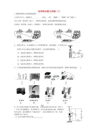 九年级物理 电学综合能力训练(1) 人教新课标版试卷