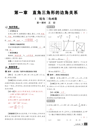 九年级数学下册 第一章 直角三角形的边角关系导学练(pdf)(新版)北师大版试卷