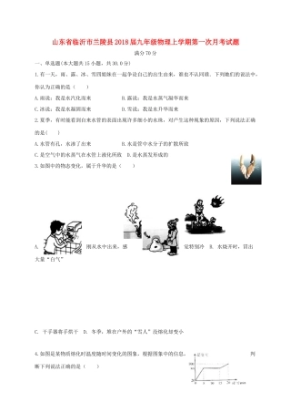 山东省临沂市兰陵县九年级物理上学期第一次月考试卷