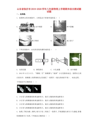 山东省临沂市 八年级物理上学期期末综合测试卷试卷