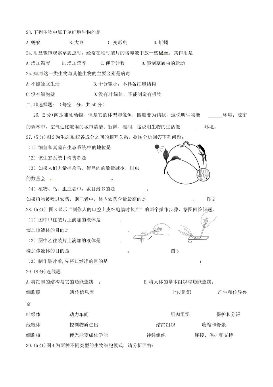 山东省临沭县青云镇中学七年级生物上学期期中试卷 新人教版_第3页