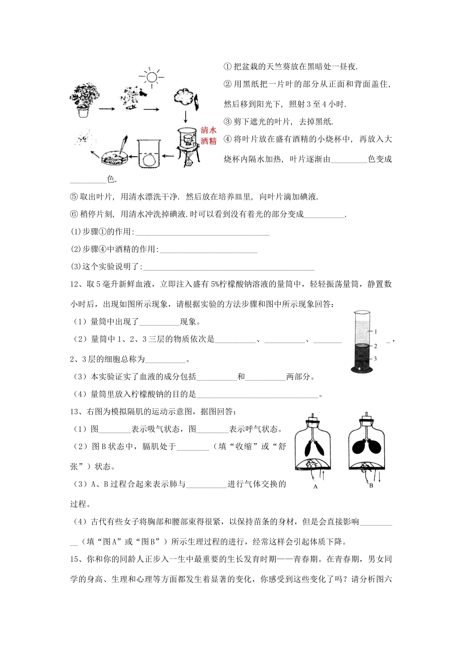 中考生物识图填空题精选 人教新课标版试卷_第3页