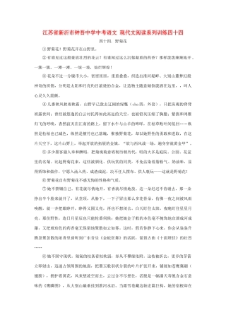 中考语文 现代文阅读系列训练四十四试卷