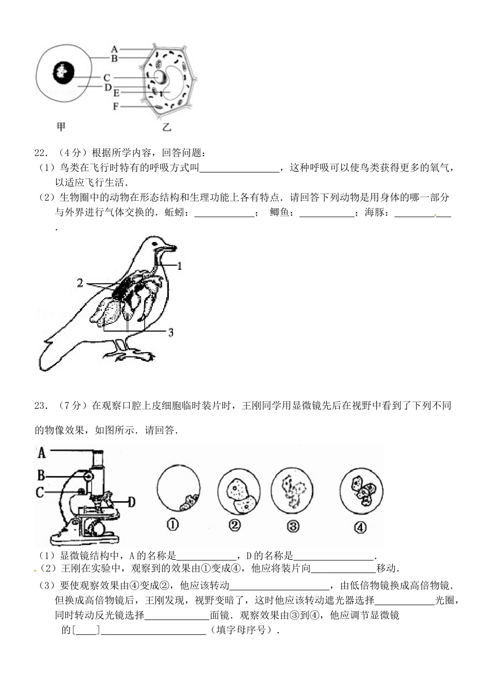 山东省曹县七年级生物上学期(1月)期末模拟考试试卷 新人教版试卷_第3页
