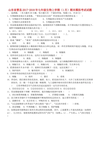 山东省曹县七年级生物上学期(1月)期末模拟考试试卷 新人教版试卷