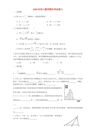 初三数学期末考试卷八 华东师大版 试题