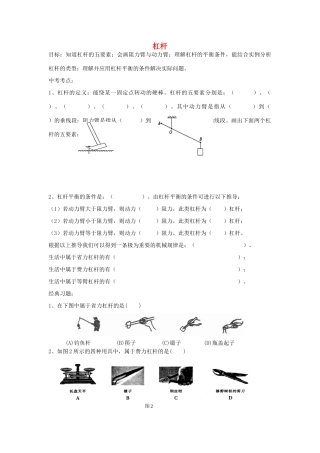 中考物理专题复习 杠杆试卷