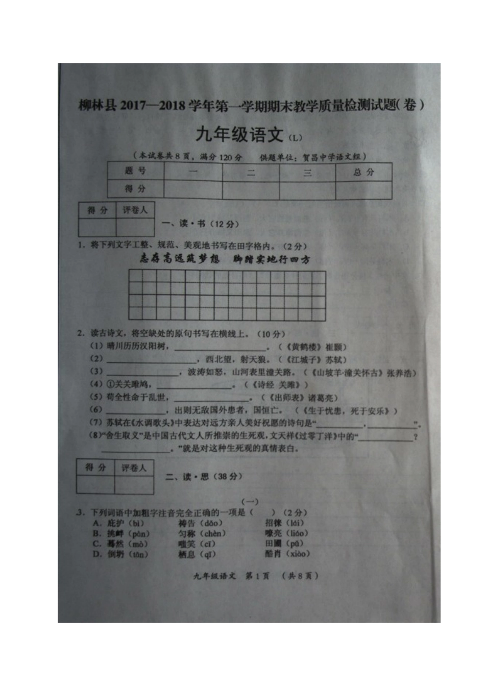 山西省吕梁市柳林县九年级语文上学期期末考试试卷新人教版试卷_第1页