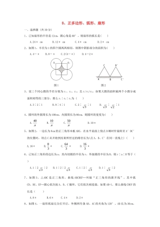 九年级数学 正多边形、弧形、扇形试卷 人教新课标版试卷