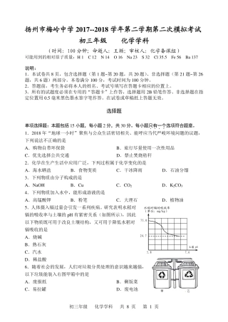 九年级化学下学期第二次模拟考试试卷(pdf，无答案)试卷