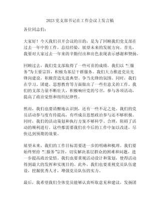 2023党支部书记在工作会议上发言稿