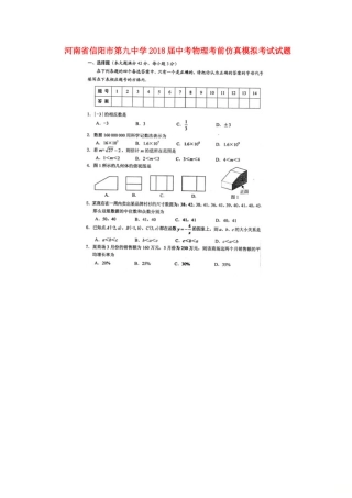 中考物理考前仿真模拟考试试卷