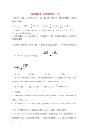 山东省龙口市兰高镇中考数学二轮复习 专题训练9 方程的应用(二) 鲁教版试卷