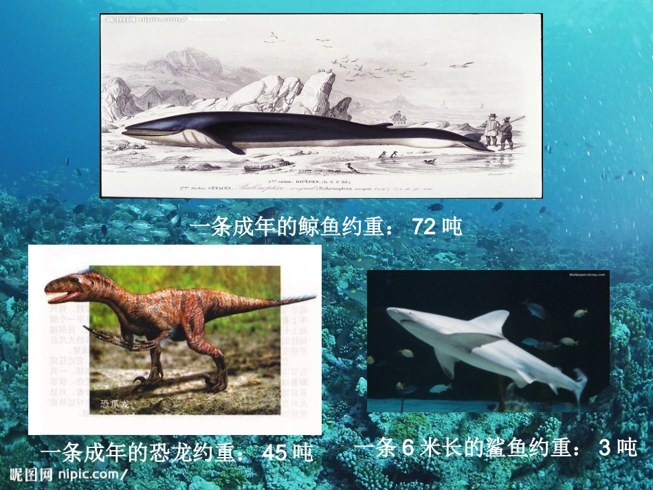 人教2011版小学数学三年级吨的初步认识_第3页