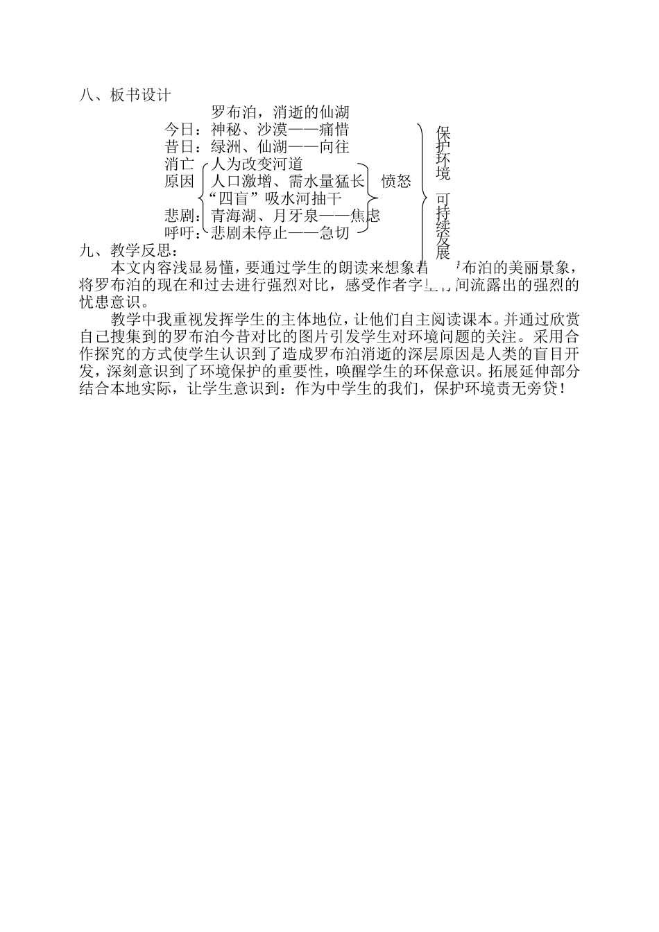 罗布泊教学设计_第3页