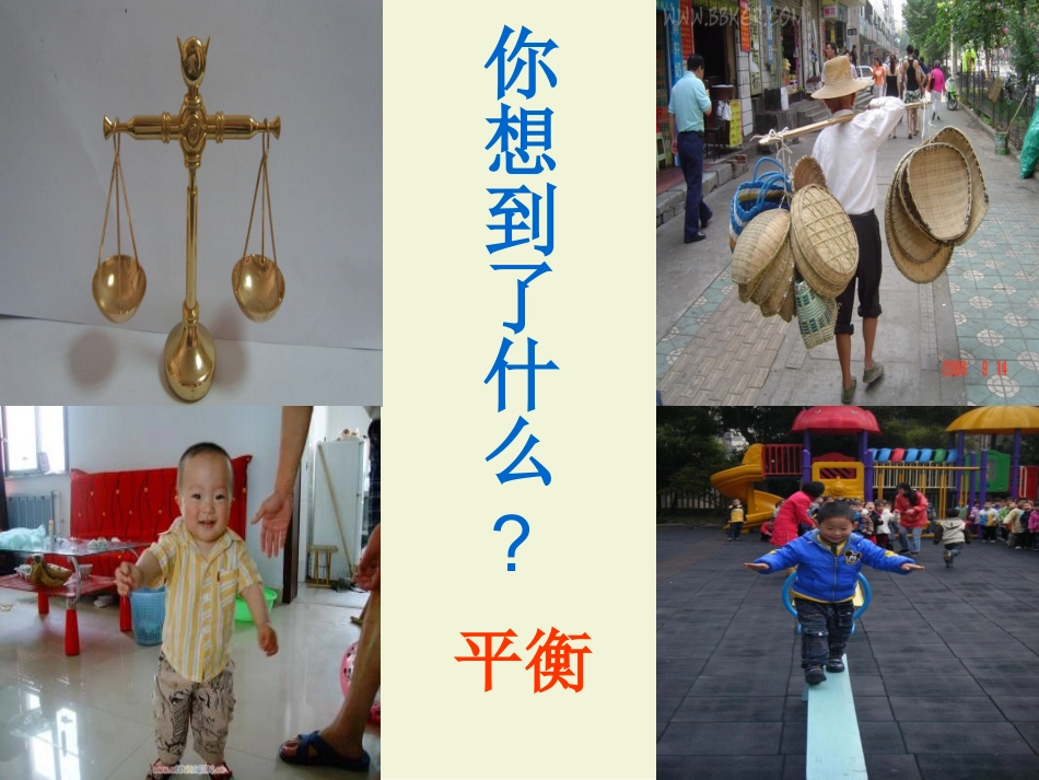 维护生态平衡_第2页