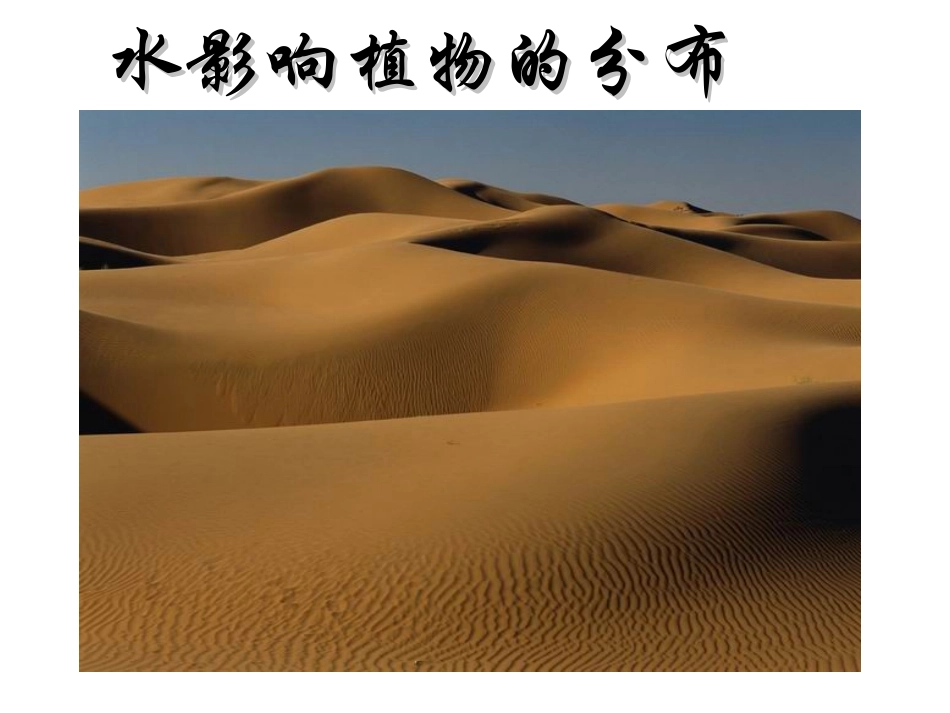 绿色植物的生活需要水_第3页