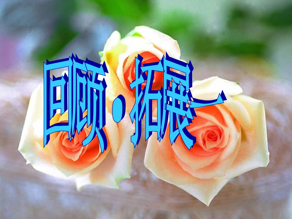 回顾积累趣味语文_第1页