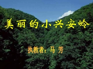 美丽的小兴安岭(公开课)