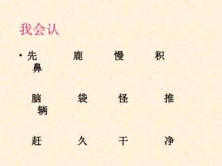 美丽的小路-课件PPT