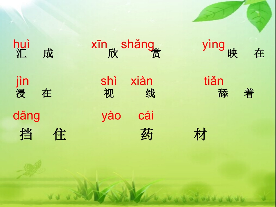 美丽的小兴安岭-(4)_第3页