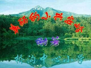 美丽的小兴安岭谢芳