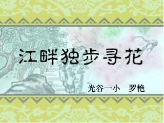 张丽琴江畔独步课件资料1