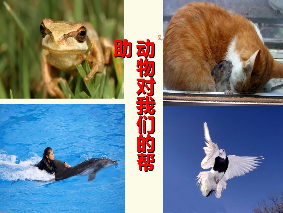 第11课泥塑动物_第2页