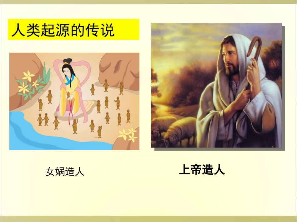 第1课中国早期人类的代表——北京人_第2页