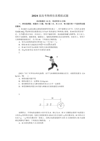 2024届高考物理仿真模拟试题(附答案)