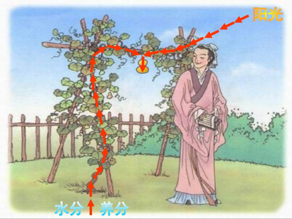 我要的是葫芦_第2页