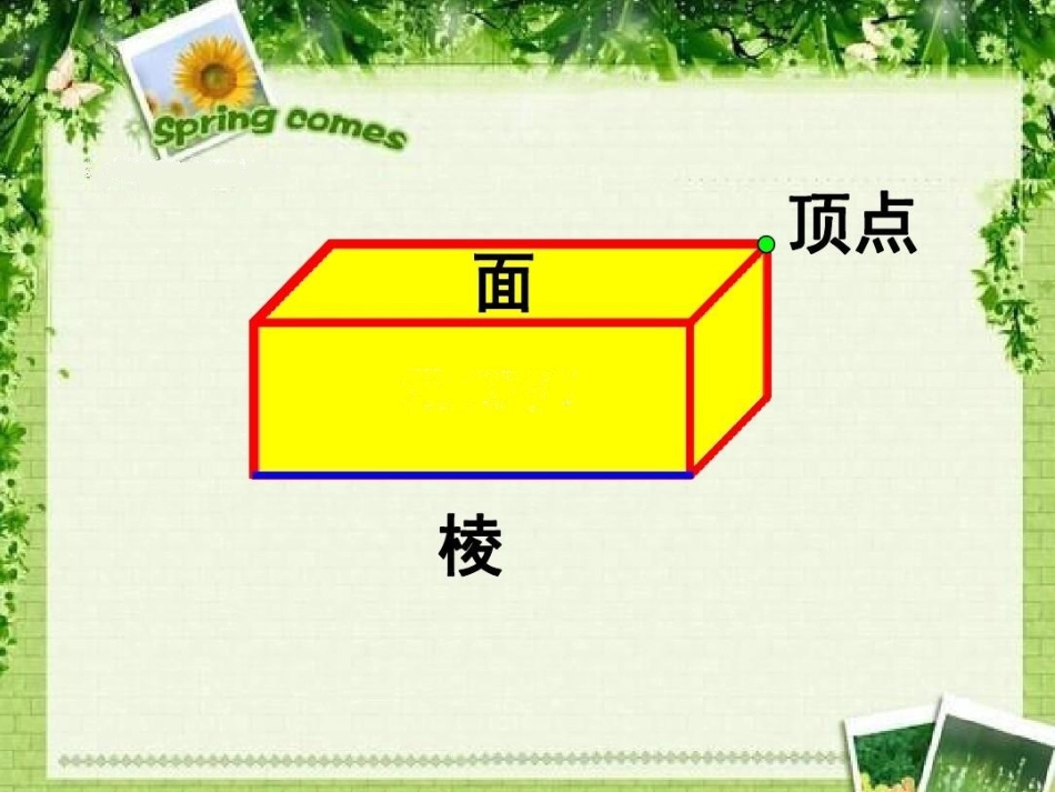 长方体和正方体的特征_第3页