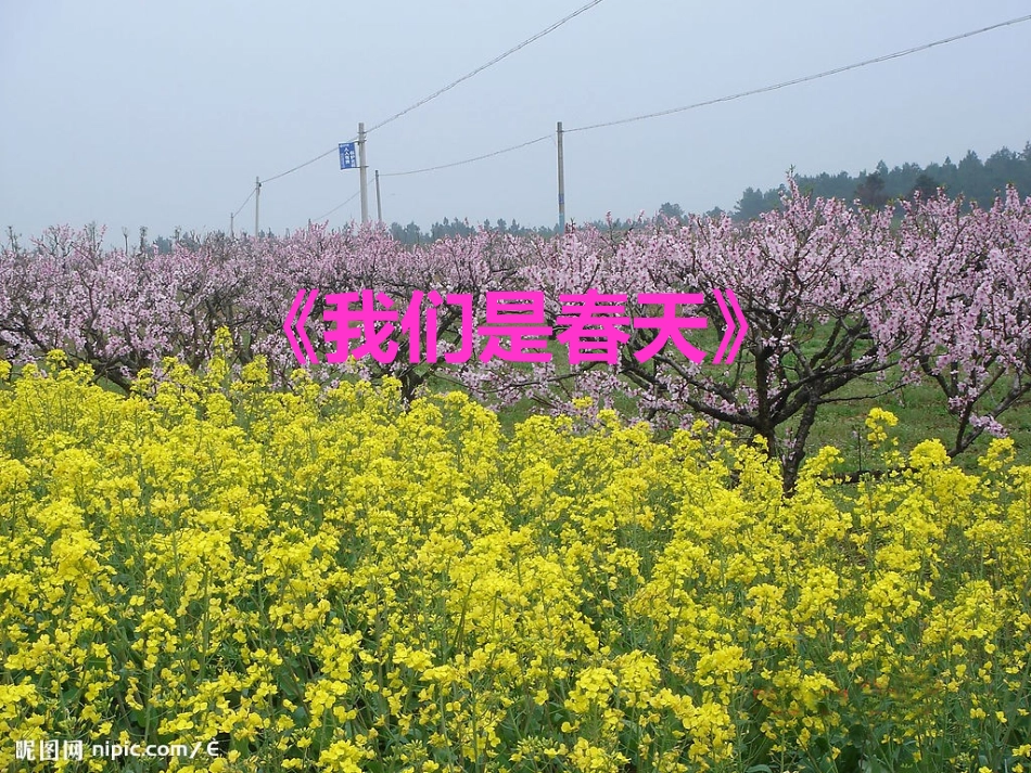 我们是春天-(2)_第1页