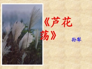 初二上册语文第一单元芦花荡PPT课件